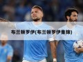 布兰顿罗伊(布兰顿罗伊集锦)