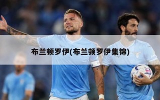 布兰顿罗伊(布兰顿罗伊集锦)