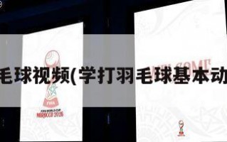 学打羽毛球视频(学打羽毛球基本动作视频)
