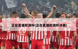 正在直播欧洲杯(正在直播欧洲杯决赛)