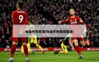 哈桑怀特塞德(哈桑怀特塞德集锦)