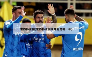 世界杯法国(世界杯法国队夺冠是哪一年)