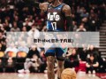 包扑nba(包扑子内篇)