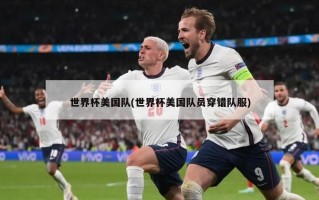 世界杯美国队(世界杯美国队员穿错队服)