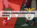 足球数据库(足球数据库足球资料库足球联赛资料彩客)