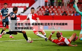 迈克尔-卡特-威廉姆斯(迈克尔卡特威廉姆斯双球训练法)