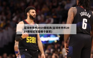 蓝球世界杯2019赛程表(篮球世界杯2019赛程冠军是哪个国家)