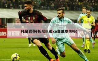托尼巴蒂(托尼巴蒂xo白兰地价格)