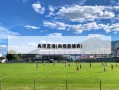央视直播(央视直播表)