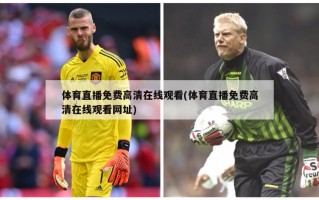 体育直播免费高清在线观看(体育直播免费高清在线观看网址)