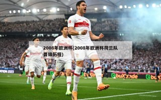 2008年欧洲杯(2008年欧洲杯荷兰队晋级历程)