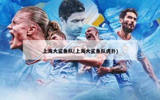 上海大鲨鱼队(上海大鲨鱼队虎扑)