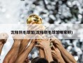 沈阳羽毛球馆(沈阳羽毛球馆哪家好)