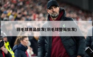 羽毛球用品批发(羽毛球整箱批发)