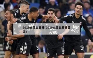 2019女足世界杯(2019女足世界杯美国)