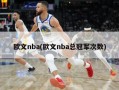 欧文nba(欧文nba总冠军次数)