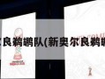 新奥尔良鹈鹕队(新奥尔良鹈鹕队史)