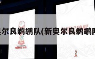 新奥尔良鹈鹕队(新奥尔良鹈鹕队史)