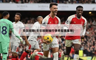 贝尔坦斯(贝尔坦斯独行侠季后赛集锦)