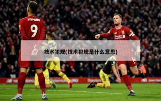 技术犯规(技术犯规是什么意思)