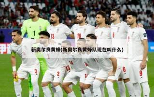 新奥尔良黄蜂(新奥尔良黄蜂队现在叫什么)