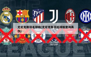 尤尼克斯羽毛球拍(尤尼克斯羽毛球拍查询真伪)