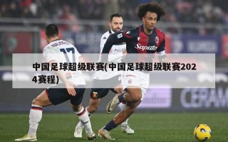 中国足球超级联赛(中国足球超级联赛2024赛程)