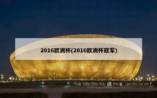2016欧洲杯(2016欧洲杯冠军)
