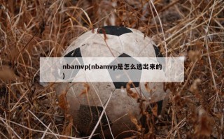 nbamvp(nbamvp是怎么选出来的)