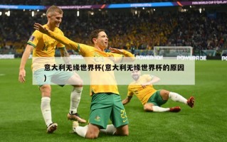 意大利无缘世界杯(意大利无缘世界杯的原因)