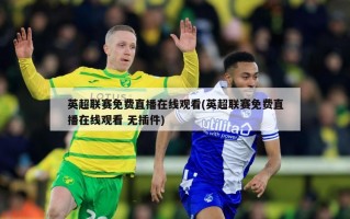 英超联赛免费直播在线观看(英超联赛免费直播在线观看 无插件)