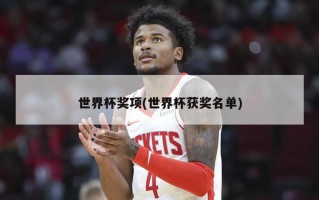 世界杯奖项(世界杯获奖名单)