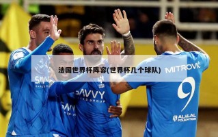 法国世界杯阵容(世界杯几个球队)