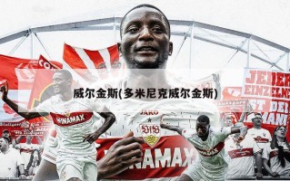 威尔金斯(多米尼克威尔金斯)