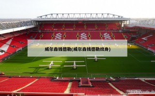 威尔森钱德勒(威尔森钱德勒纹身)