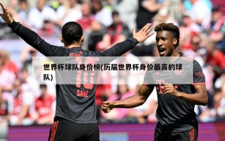 世界杯球队身价榜(历届世界杯身价最高的球队)