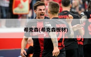 希克森(希克森板材)