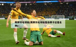 鹰牌羽毛球拍(鹰牌羽毛球拍是杂牌子还是名牌)