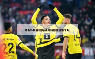 哈桑怀特塞德(哈桑怀特塞德退役了吗)