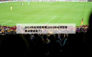 2013羽毛球世锦赛(2013羽毛球世锦赛决赛谁赢了)