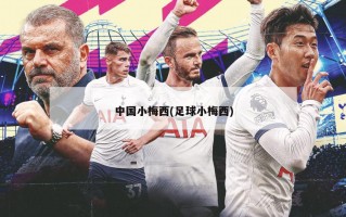 中国小梅西(足球小梅西)