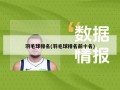 羽毛球排名(羽毛球排名前十名)