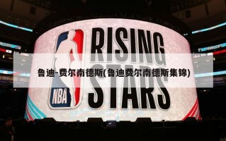 鲁迪-费尔南德斯(鲁迪费尔南德斯集锦)