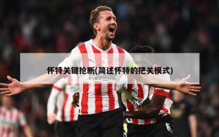 怀特关键抢断(简述怀特的把关模式)