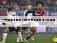 江苏舜天足球俱乐部(江苏舜天足球俱乐部陈帅)