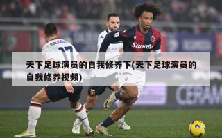 天下足球演员的自我修养下(天下足球演员的自我修养视频)
