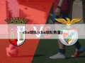 cba球队(cba球队数量)
