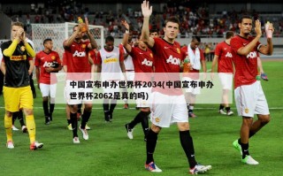 中国宣布申办世界杯2034(中国宣布申办世界杯2062是真的吗)