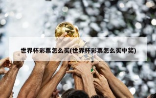 世界杯彩票怎么买(世界杯彩票怎么买中奖)