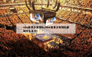 nba有多少支球队(NBA有多少支球队都叫什么名字)